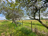 French property for sale in Parcoul-Chenaud, Dordogne - €252,500 - thumbnail 9