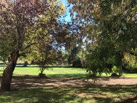 Maison à vendre à Lacassagne, Hautes-Pyrénées - 350.000 € - photo 10