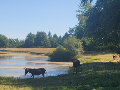 French property for sale in Saulgond, Charente - €130,800 - photo 1