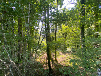 French property for sale in Vigeois, Corrèze - €36,600 - photo 5
