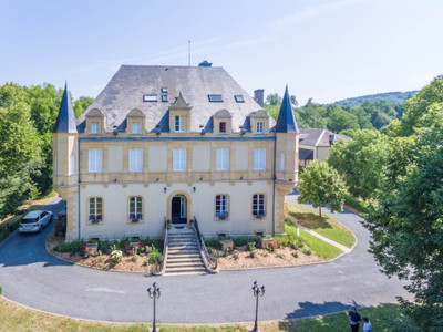 Black Perigord - 19th Century Chateau with 23 acres private grounds near unesco world heritage site.