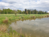Lacs à vendre à Grez-en-Bouère, Mayenne - 88 000 € - photo 8