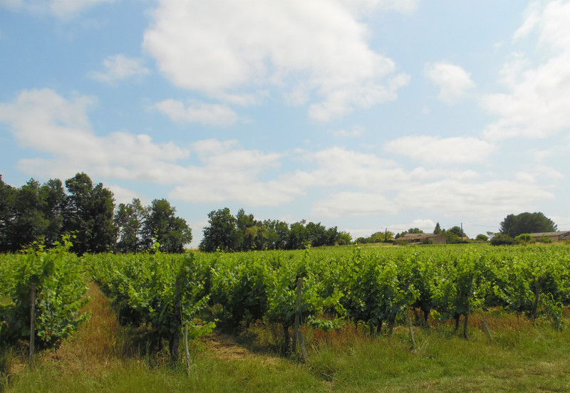 French property for sale in Saint-Ciers-de-Canesse, Gironde - €646,600 - photo 11