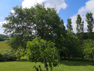 French property for sale in Bassoues, Gers - €340,000 - photo 12