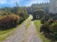 Propriété à vendre à Lagraulière, Corrèze - 399 000 € - photo n°10