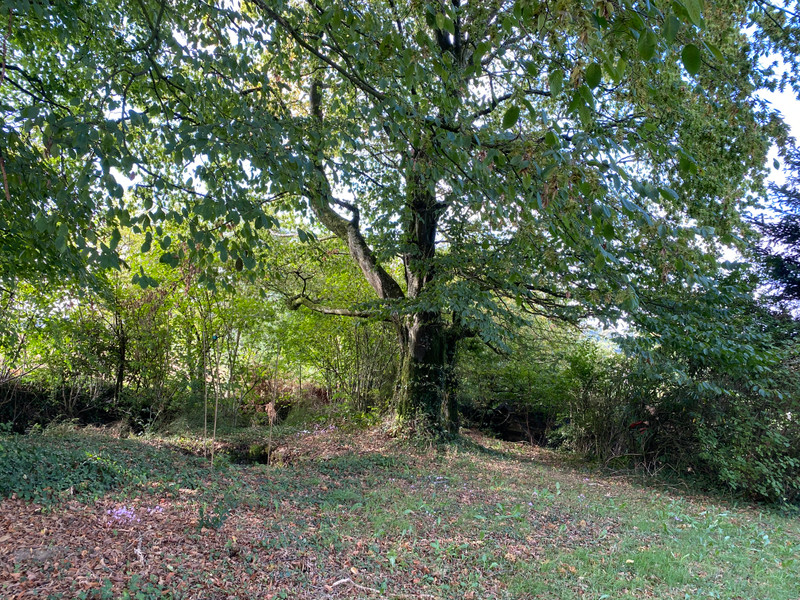 French property for sale in Chaulieu, Manche - €147,150 - photo 9