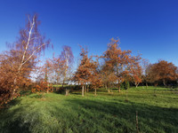 Maison à vendre à La Gacilly, Morbihan - 371.000 € - photo 4