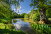 French property for sale in Colméry, Nièvre - €895,000 - thumbnail 14