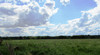 French property for sale in Maresché, Sarthe - €279,500 - thumbnail 9