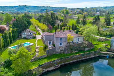 French property for sale in Vire-sur-Lot, Lot - €1,300,000 - photo 14