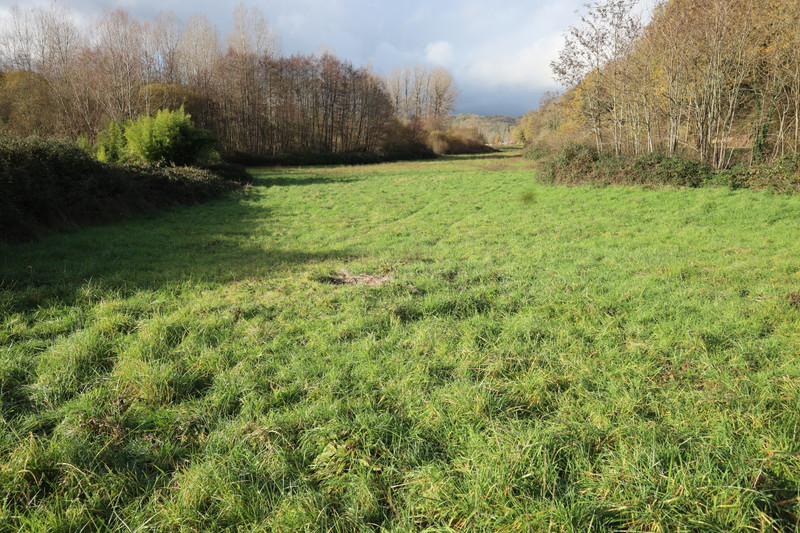 French property for sale in Thonac, Dordogne - €75,210 - photo 10