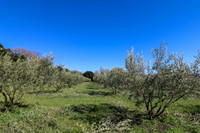 Terrain à vendre à Uzès, Gard - 130.000 € - photo 1
