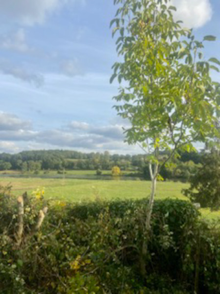 French property for sale in Chabanais, Charente - €26,600 - photo 2