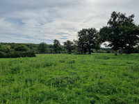 Propriété à vendre à Montmorillon, Vienne - 795 000 € - photo n°6
