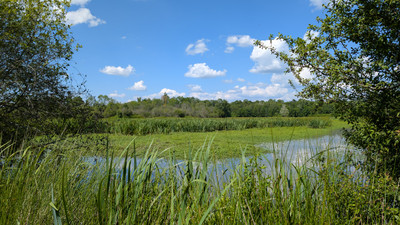 French property for sale in Izon, Gironde - €270,300 - photo 5