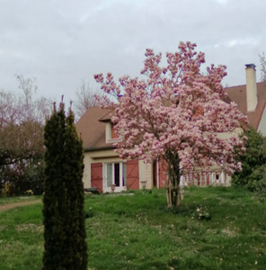 Maison à vendre à Marigny-Chemereau, Vienne, Poitou-Charentes, avec Leggett Immobilier