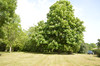 French property for sale in Cazaugitat, Gironde - €424,000 - thumbnail 9