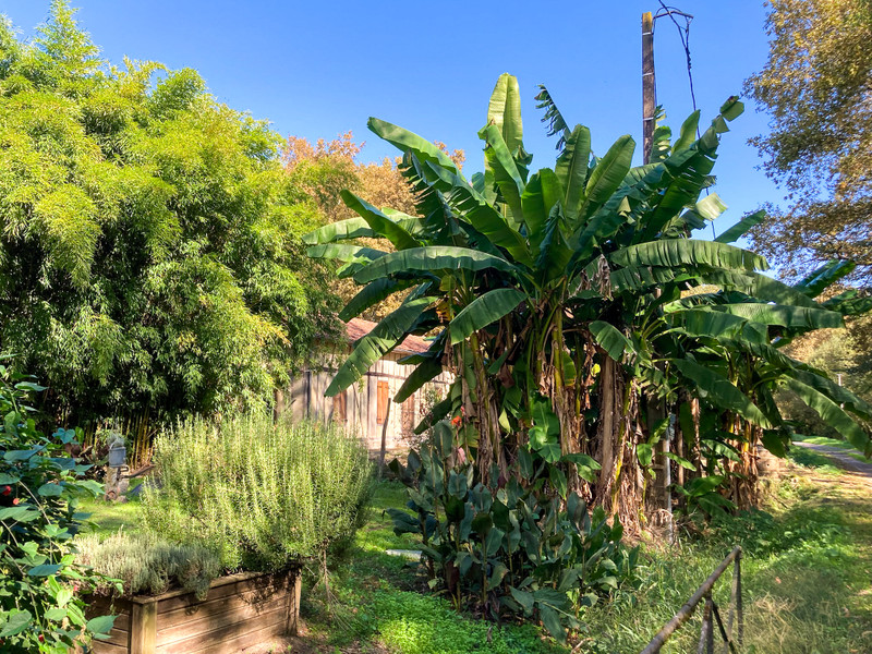 French property for sale in Saint-Pé-Saint-Simon, Lot-et-Garonne - €92,000 - photo 13
