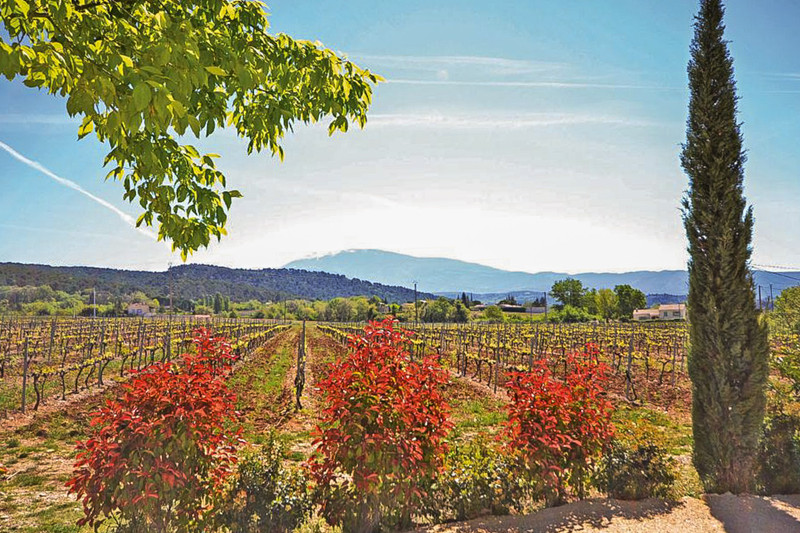 Propriété à vendre à Saint-Marcellin-lès-Vaison, Vaucluse - 850 000 €