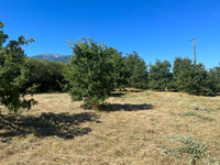 Terrain à vendre à Joch, Pyrénées-Orientales - 215 000 € - photo 9