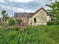 Propriété à vendre à Cerisy-la-Forêt, Manche - 88 000 € - photo n°10