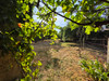 French property for sale in Dignac, Charente - €212,000 - thumbnail 13