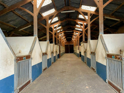 For sale near Argentan, manor house and breeding and competition famous stud farm