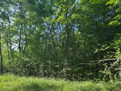 French property for sale in Bertric-Burée, Dordogne - €16,600 - photo 5