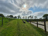 French property for sale in Kerien, Côtes-d'Armor - €298,000 - thumbnail 14