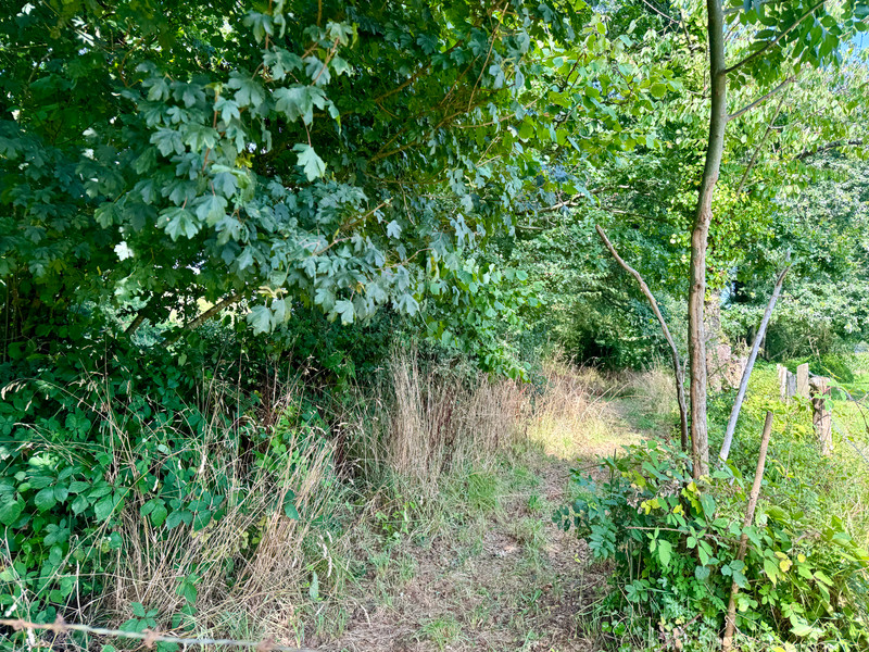 French property for sale in Pré-en-Pail-Saint-Samson, Mayenne - €62,000 - photo 9
