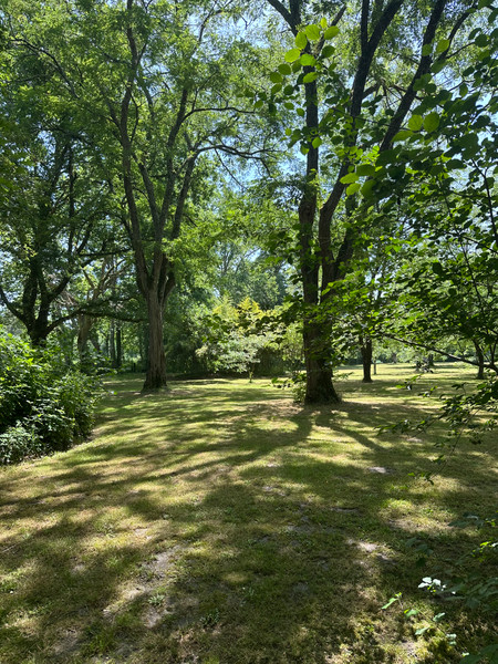 French property for sale in Bazas, Gironde - €266,000 - photo 6
