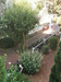 French property for sale in Avignon, Vaucluse - €64,500 - thumbnail 9