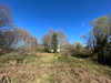 French property for sale in La Coquille, Dordogne - €20,000 - thumbnail 9