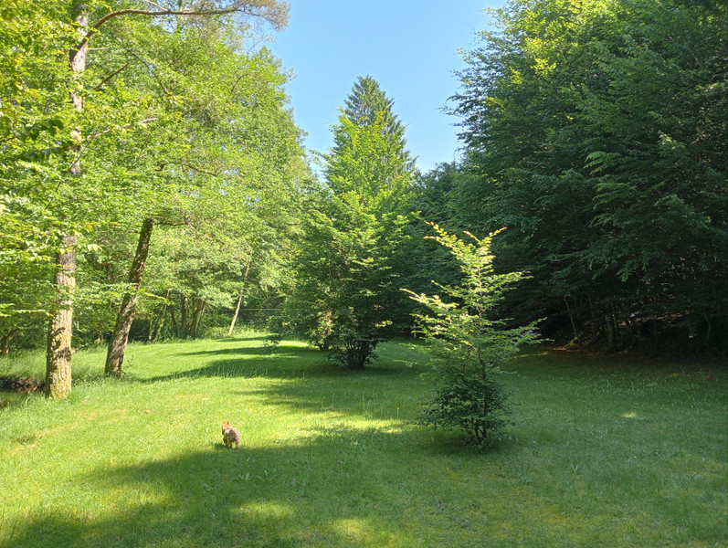 French property for sale in Marcillac-la-Croisille, Corrèze - €466,000 - photo 9