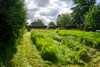 French property for sale in Fresnoy-Folny, Seine-Maritime - €66,600 - thumbnail 14