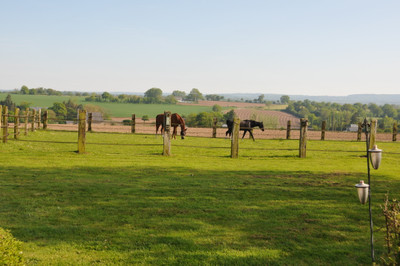 French property for sale in Landelles-et-Coupigny, Calvados - €535,000 - photo 9