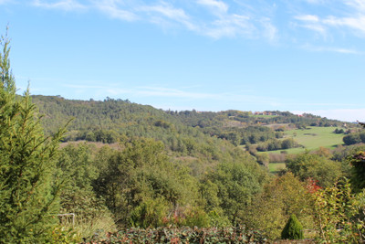 French property for sale in Sagelat, Dordogne - €492,900 - photo 9