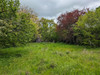 French property for sale in Bellac, Haute-Vienne - €77,000 - thumbnail 9