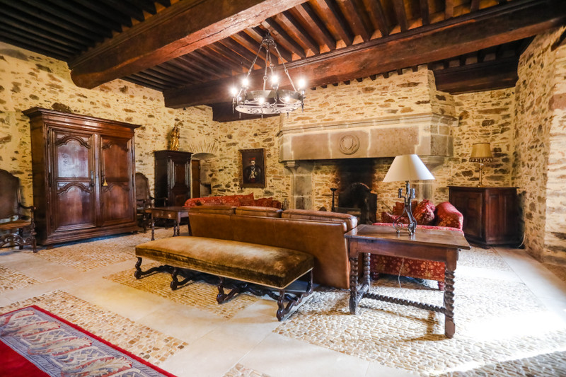 French property for sale in Beyssac, Corrèze - €1,950,000 - photo 3