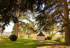 French property for sale in Issigeac, Dordogne - €1,595,000 - thumbnail 9