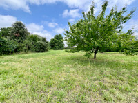 Maison à vendre à Saint-Savinien, Charente-Maritime - 587.240 € - photo 3