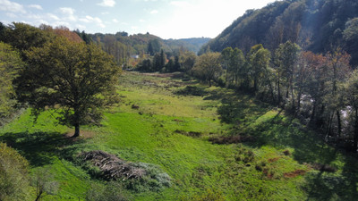 French property for sale in Saint-Léonard-de-Noblat, Haute-Vienne - €219,350 - photo 9