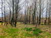 French property for sale in Dournazac, Haute-Vienne - €39,900 - thumbnail 14