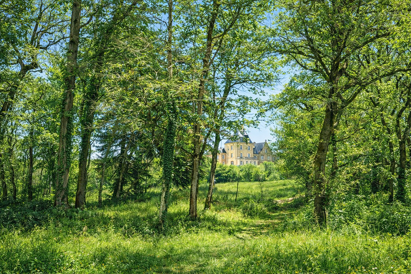 French property for sale in Vitrac, Dordogne - €1,999,000 - photo 9