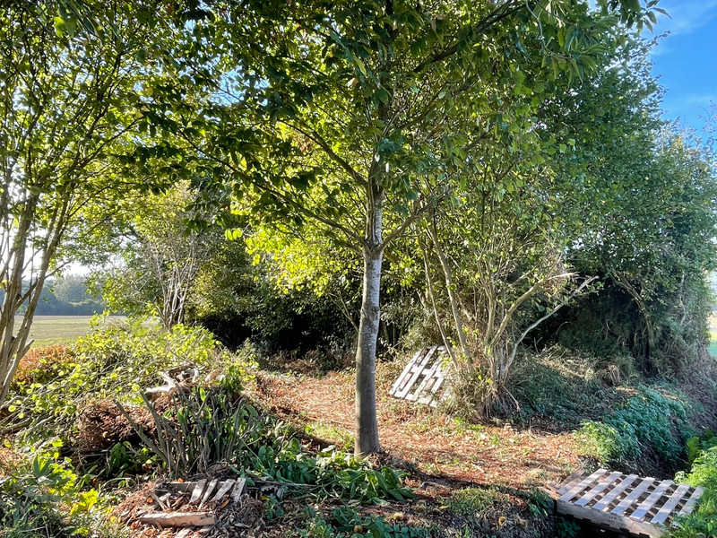 French property for sale in Le Mené, Côtes-d'Armor - €46,600 - photo 6