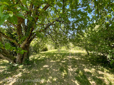French property for sale in Soucirac, Lot - €165,000 - photo 2