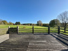 French property for sale in La Chapelle-Montbrandeix, Haute-Vienne - €475,000 - thumbnail 14