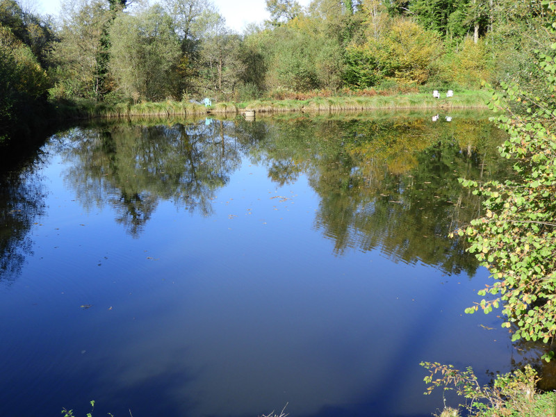French property for sale in Perpezac-le-Noir, Corrèze - €539,900 - photo 9