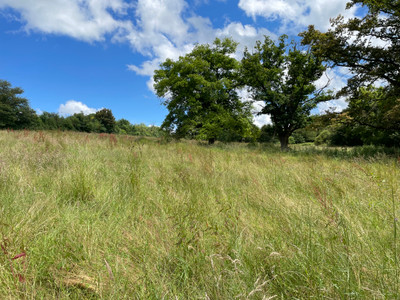 French property for sale in Lignières, Cher - €183,600 - photo 8