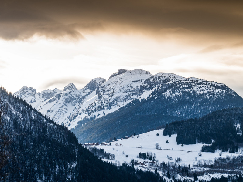 Ski property for sale in Les Carroz - €1,325,000 - photo 4